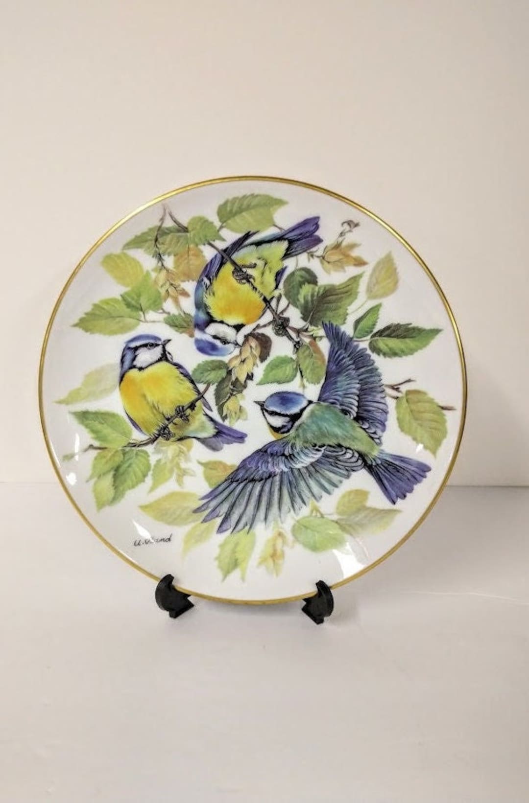WWF Blue Titmouse Bird Plate Tirschenreuth 1985 Blue Yellow Etsy M xico wwf-blue-titmouse-bird-plate-tirschenreuth-1985-blue-yellow-etsy-m-xico