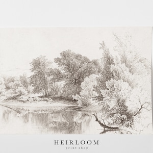 May include: A black and white pencil drawing of a landscape with trees and a river. The drawing is on a white background.