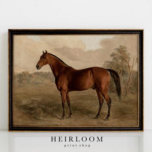 Equestrian Painting Print | Horse Canvas ART PRINTS Vintage | MAILED Prints | Thoroughbred