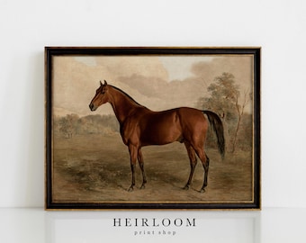 Equestrian Painting Print | Horse Canvas ART PRINTS Vintage | MAILED Prints | Thoroughbred