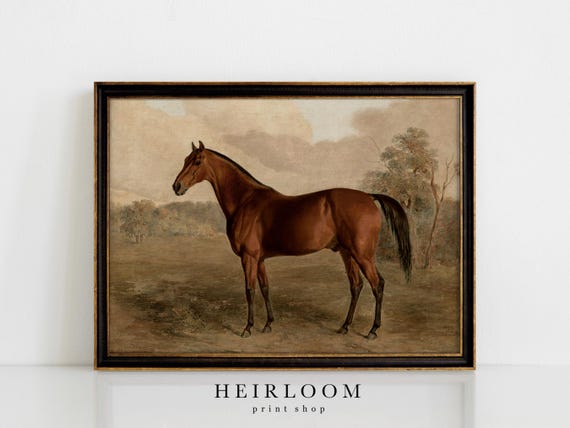 Equestrian Painting Print | Horse Canvas ART PRINTS Vintage | MAILED Prints | Thoroughbred