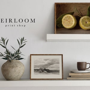 May include: A still life print of two lemon halves with green leaves in a gold frame. Below, a black and white landscape print and a vase with olive branches sit on a white shelf. The text "HEIRLOOM print shop" is above the vase.