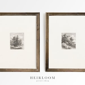 May include: Two framed black and white landscape prints with a rustic wood frame. The prints are of a forest scene with trees and a river.