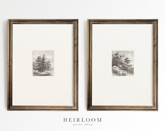 Vintage Etching Print Set | Dutch Art | MAILED ART PRINTS | Forest Etchings