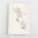 Vintage Drawing | Botanical Sketch Print | MAILED ART | Apple Branch 