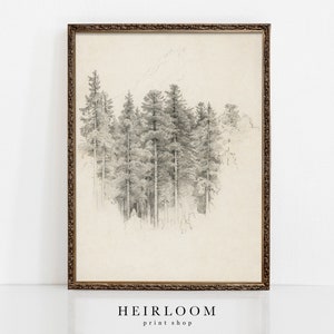 Forest Drawing | MAILED PRINTS | Tree Drawing Print | Cabin Art | Study of Trees