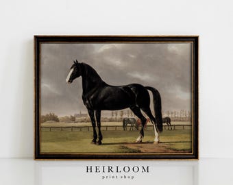 Vintage Pferde Gemälde | Schwarzes Pferd Fine Art Prints | VERSAND DRUCK | Agil
