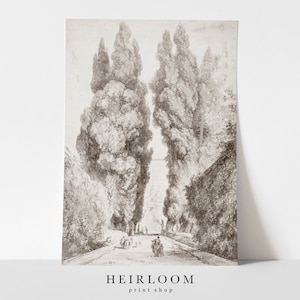 May include: A black and white drawing of a path lined with tall trees. The trees are drawn in a detailed, realistic style, and the path leads to a distant horizon.