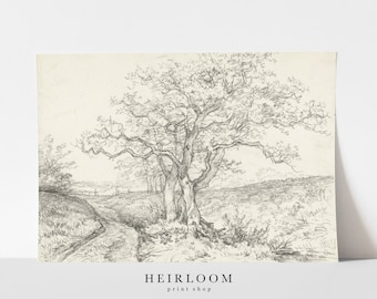 Vintage Drawing | Tree Print | FINE ART PRINTS | Sketch | Along the Road