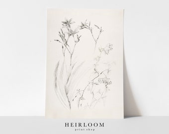 Floral Sketch | Vintage Drawing | Flower Art | PHYSICAL PRINTS | Floral Sketch