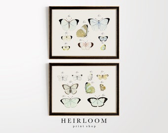 Butterfly Wall Art | Girls Room Decor | Nursery Art Print | Whimsical Decor | Butterflies Set