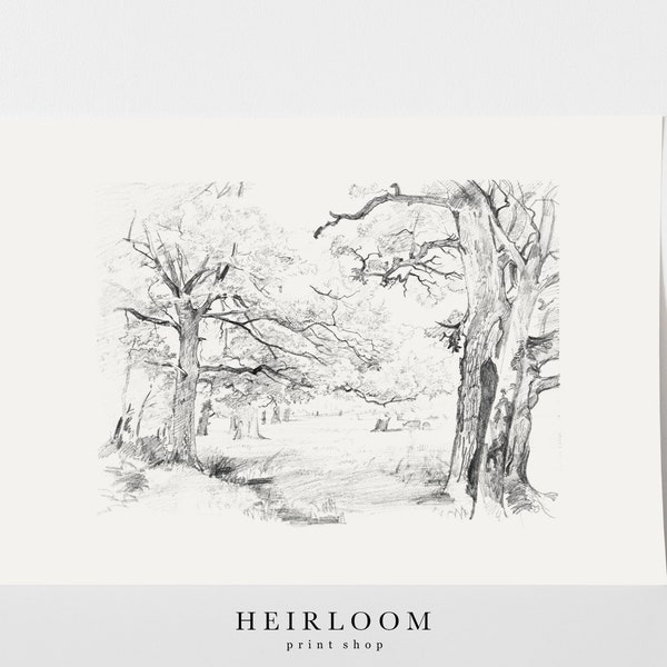 Landscape Sketch | Vintage Forest Drawing | Heirloom ART PRINTS | Forest Scene