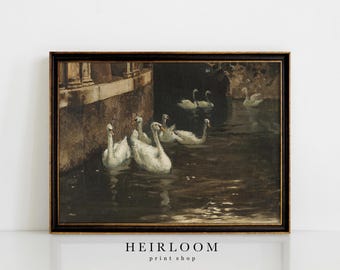 Vintage Swan Print | Swan Painting ART PRINTS MAILED | Swans