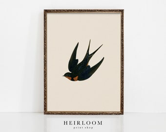 Vintage Bird Art | Spring Artwork | Mailed Prints | Swallow