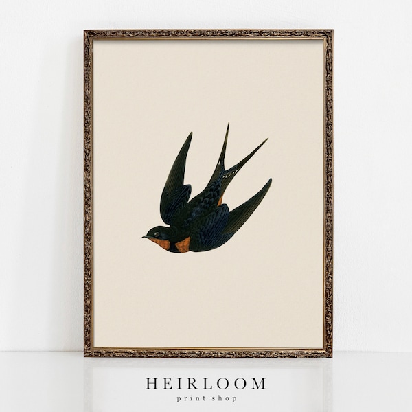 Vintage Bird Art | Spring Artwork | Mailed Prints | Swallow