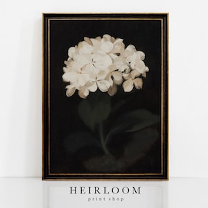 May include: A framed floral print featuring a cluster of white hydrangea blossoms against a dark background. The artwork has a vintage aesthetic, with a black frame and gold trim. The print is labeled "HEIRLOOM print shop".