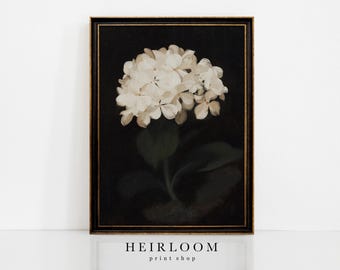 Hortensien Kunst | Blumenmalerei | Leinwanddruck | Ölgemälde | Vintage KUNSTDRUCKE | Hortensie