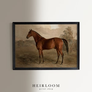May include: A framed vintage print of a brown horse in a field. The horse stands with its head turned to the left, set against a backdrop of trees and a cloudy sky. The print is in a black frame. The text "HEIRLOOM print shop" is at the bottom.