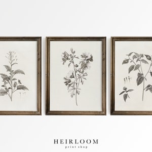 Botanical Print Set | Above the Bed Art | MAILED ART PRINTS | Mixed Botanicals