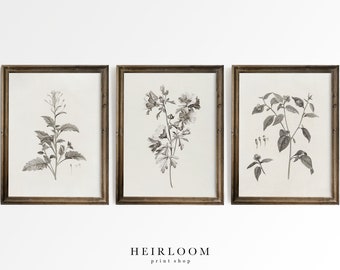 Botanical Print Set | Above the Bed Art | MAILED ART PRINTS | Mixed Botanicals