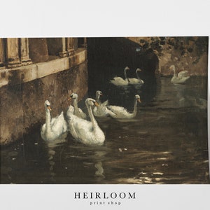 Vintage Swan Print | Swan Painting ART PRINTS MAILED | Swans