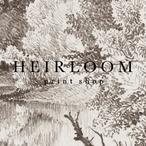May include: A black and white illustration of a forest scene with the text "HEIRLOOM print shop" in the center.