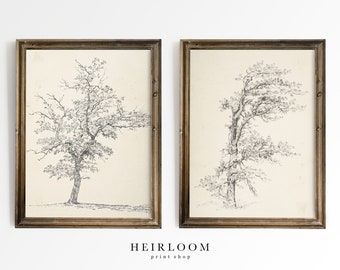 Tree Drawing Set | Vintage Sketch ART PRINTS | Pencil Sketch | Tree Sketch Set