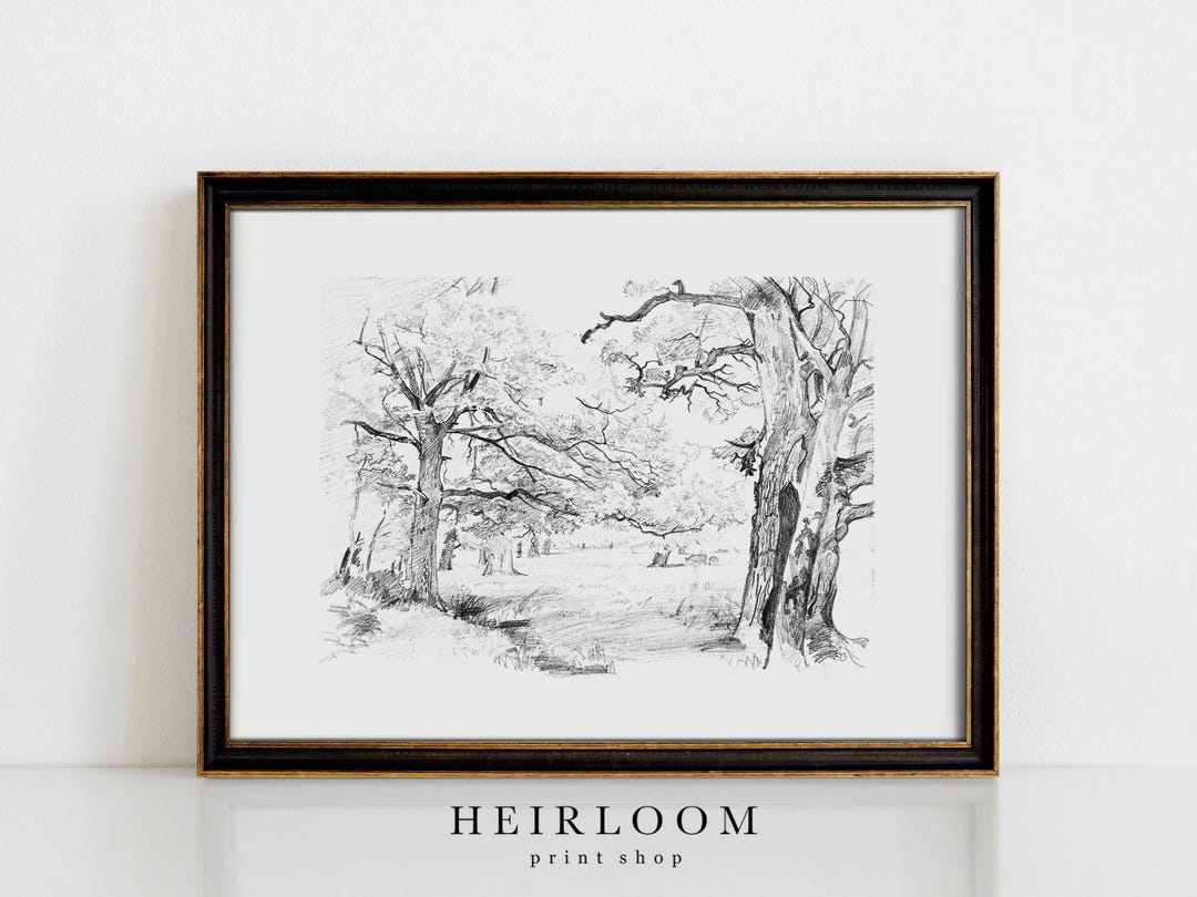 Landscape Sketch | Vintage Forest Drawing | Heirloom ART PRINTS