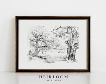 Landscape Sketch | Vintage Forest Drawing | Heirloom ART PRINTS | Forest Scene