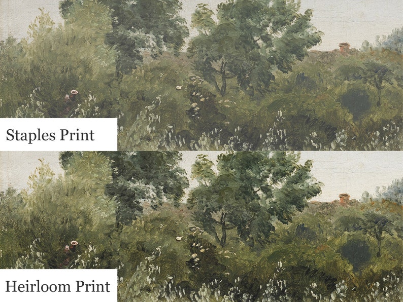 May include: Two images of a painting depicting a landscape with trees and a small house in the distance. The top image is labeled "Staples Print" and the bottom image is labeled "Heirloom Print".