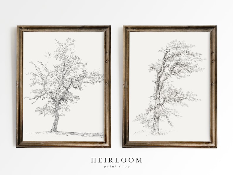Pencil Sketch Tree Drawing Vintage ART PRINTS Tree Etsy