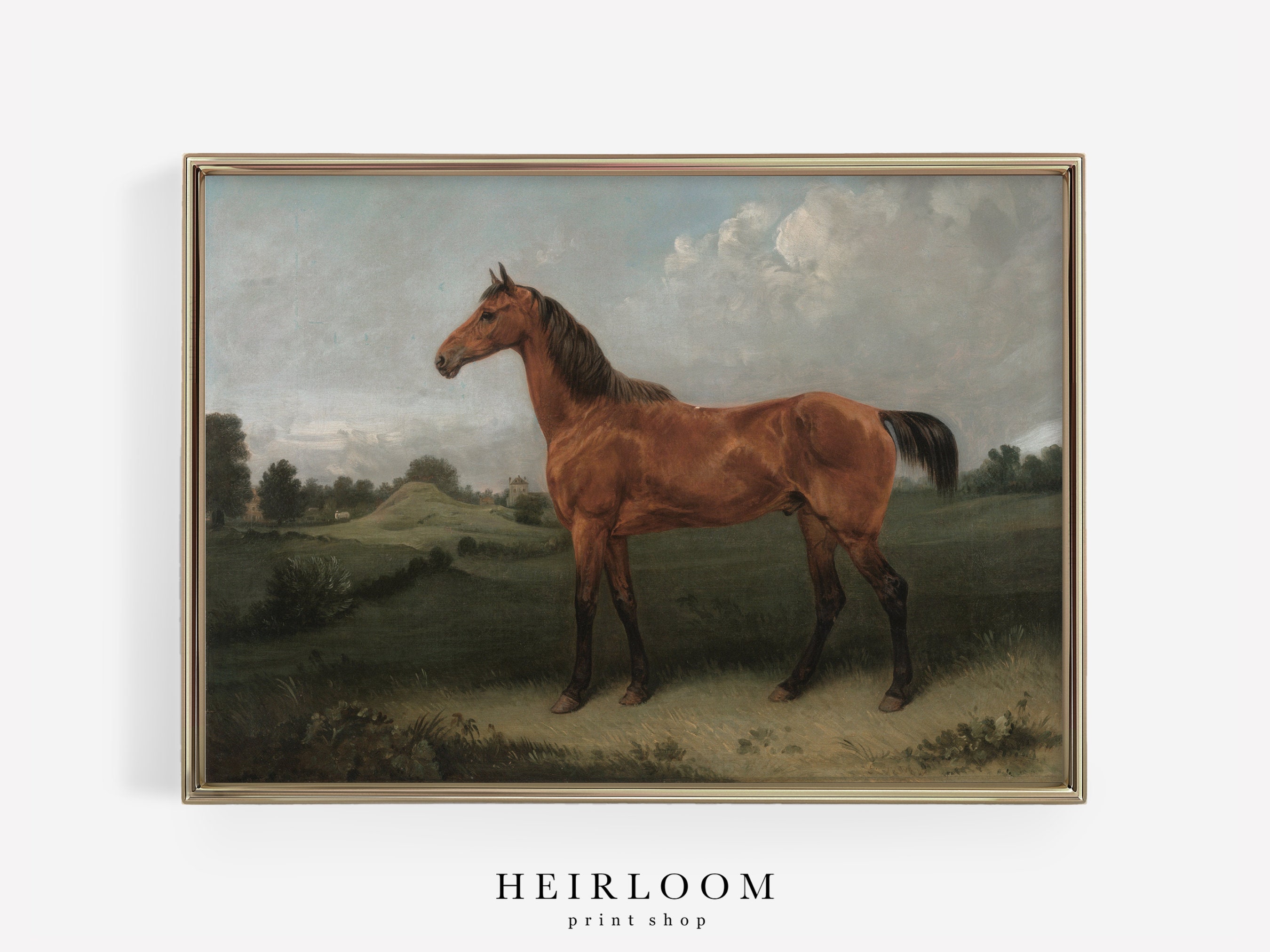 Equestrian Art Vintage Horse Print SHIPPED ART PRINTS | Etsy