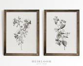 Farmhouse Decor | Botanical Print Set | Vintage | MAILED ART PRINTS | Blossoms