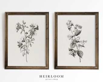Decoración de granja / Conjunto de impresiones botánicas / Vintage / IMPRESIONES ARTÍSTICAS ENVIADAS / Flores