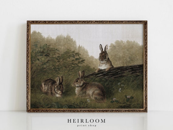Bunny Prints | Vintage Nursery Prints | Woodland Art | SHIPPED PRINTS | Rabbits