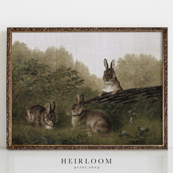 Bunny Prints | Vintage Nursery Prints | Woodland Art | SHIPPED PRINTS | Rabbits