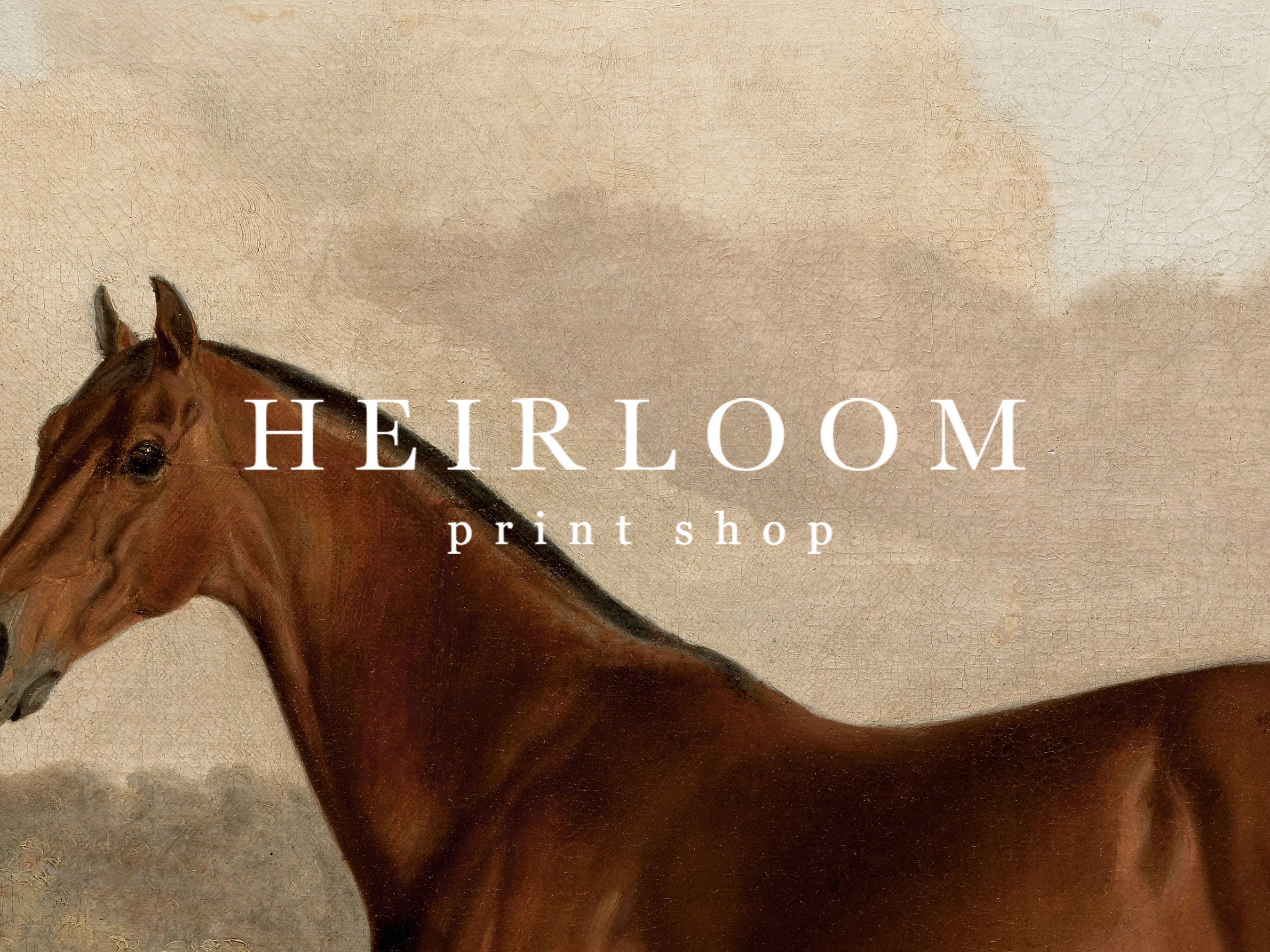 Equestrian Painting Print | Horse Canvas ART PRINTS Vintage | MAILED ...