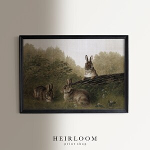 May include: Framed print featuring three rabbits in a naturalistic setting. The artwork depicts the rabbits in a grassy area with a log and foliage, rendered in muted greens and browns. The print is framed in a black rectangular frame. The text "HEIRLOOM print shop" is at the bottom.