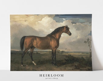 Horse Art | Equestrian Art | Stallion Horse Print | Vintage | MAILED PRINTS | Stallion