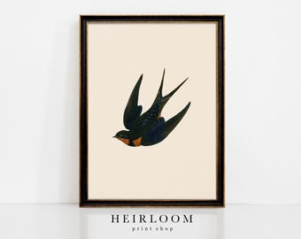 Vintage Bird Art | Spring Artwork | Mailed Prints | Swallow