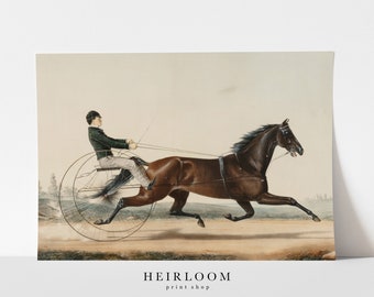 Equestrian Horse Print | Lithograph | MAILED PRINTS | Antique Art | The Race