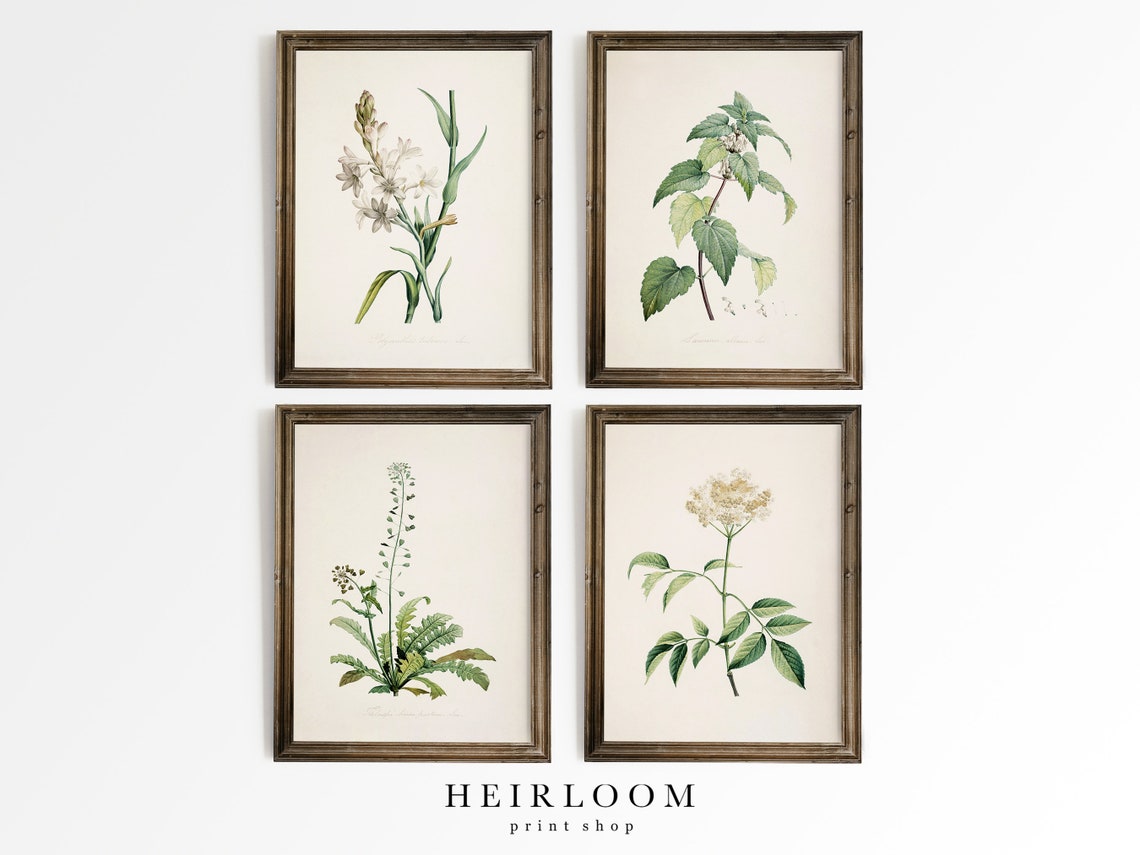 Botanical Print SET | Farmhouse French Country Decor | Antique ...