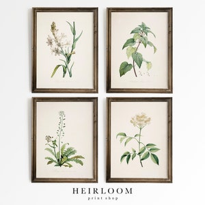 Botanical Print SET | Farmhouse French Country Decor | Antique Botanical Prints | ART PRINTS | Old Botanicals