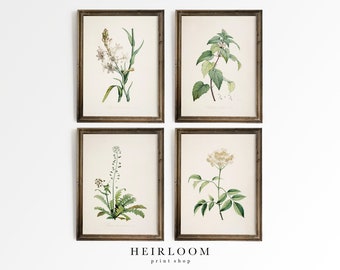 Botanical Print SET | Farmhouse French Country Decor | Antique Botanical Prints | ART PRINTS | Old Botanicals