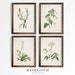 Botanical Print SET | Farmhouse French Country Decor | Antique Botanical Prints | ART PRINTS | Old Botanicals 