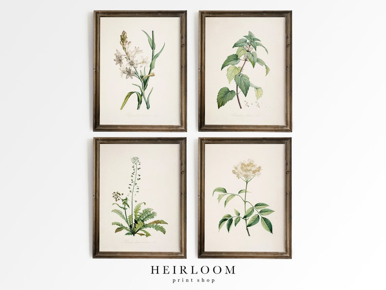 Botanical Print SET | Farmhouse French Country Decor | Antique Botanical Prints | ART PRINTS | Old Botanicals 