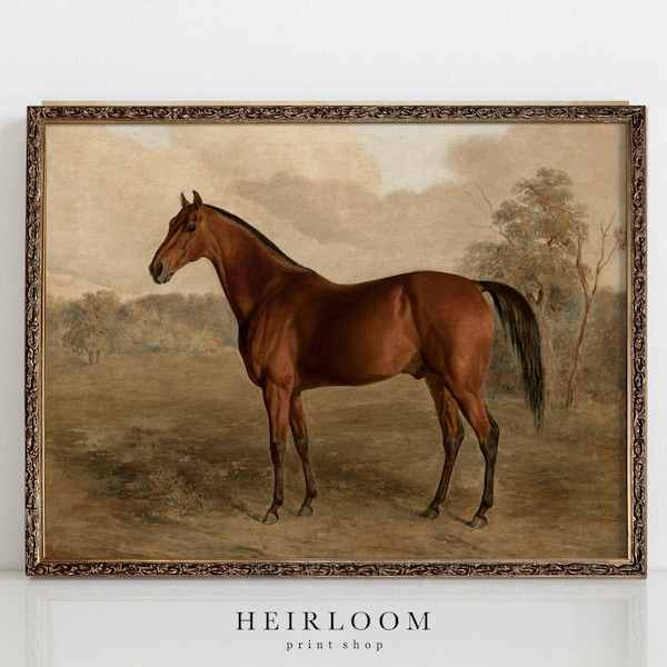 Equestrian Painting Print | Horse Canvas ART PRINTS Vintage | MAILED Prints | Thoroughbred