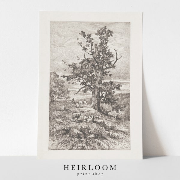 Vintage Drawing | Etching Print | Tree Sketch | Sheep Print | ART PRINTS | Sheep Grazing