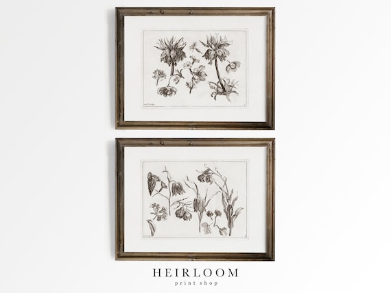 Botanical Prints | French Country ART PRINTS | Floral Etching | Flower Heirloom | Spring Florals