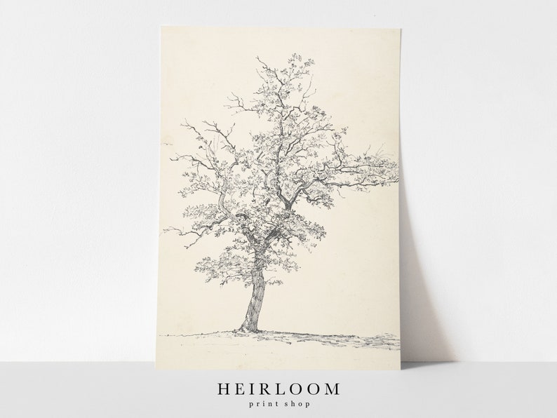 Vintage Sketch | Tree Sketch Art | Tree Drawing | Vintage ART PRINTS | Tree Sketch 